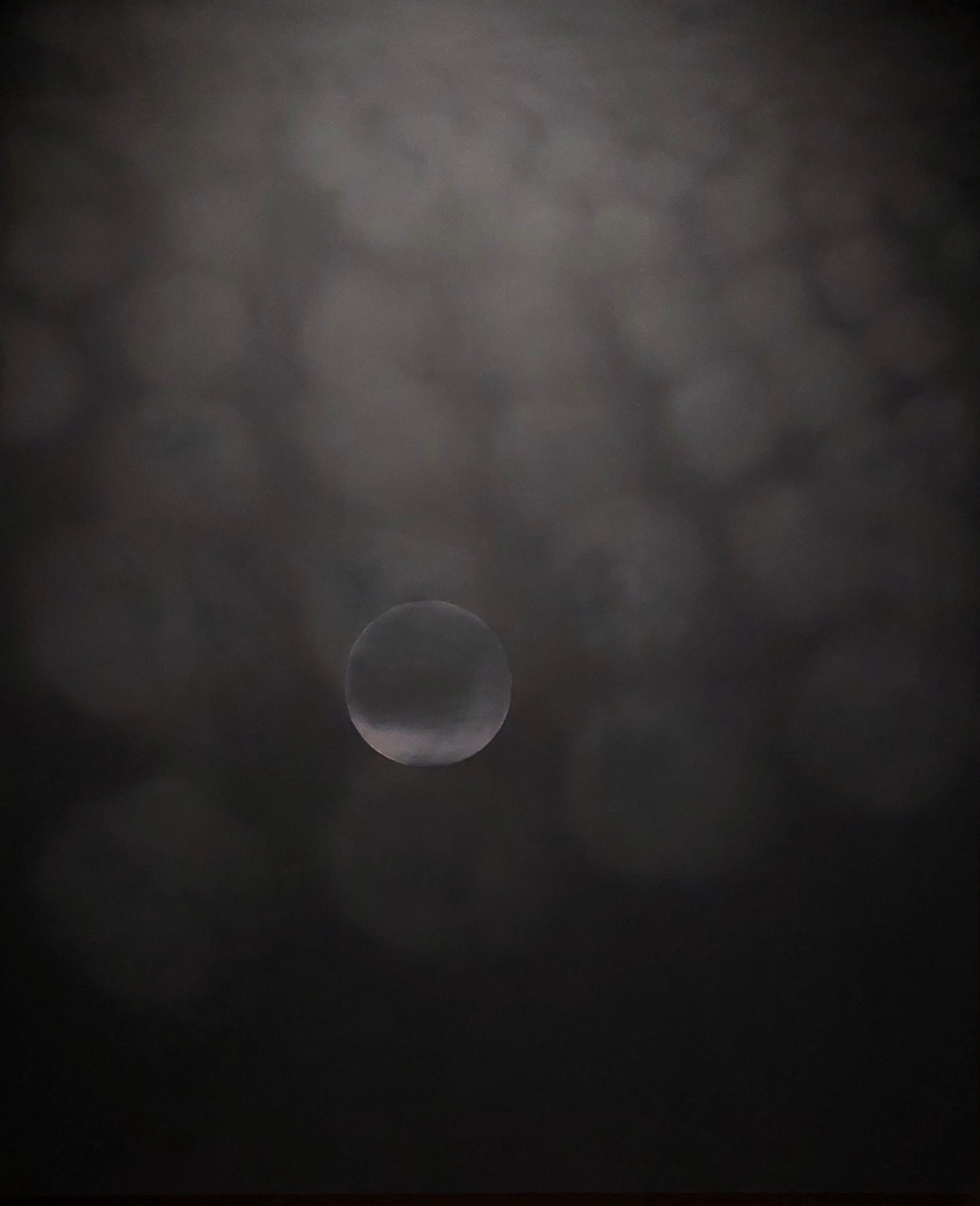 Eglė Gineitytė "Ir šviesa be perstojo sklido" / "And the Light was Constantly Spreading" 2023