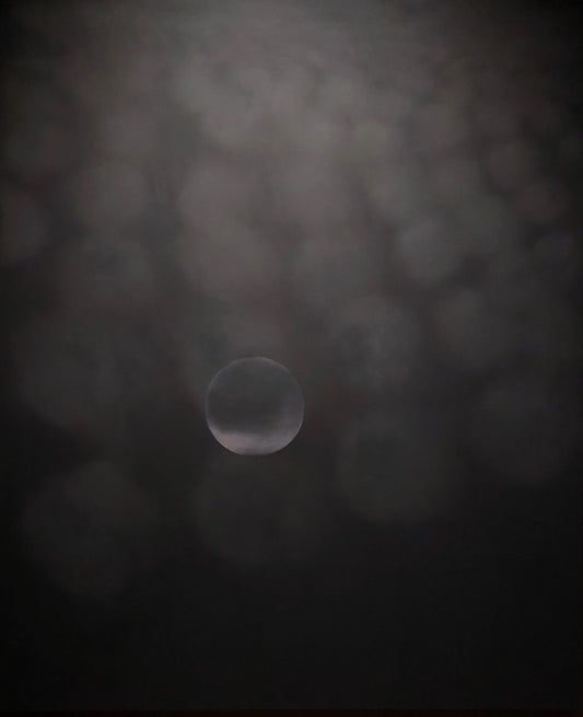 Eglė Gineitytė "Ir šviesa be perstojo sklido" / "And the Light was Constantly Spreading" 2023